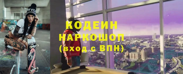 мет Алексин