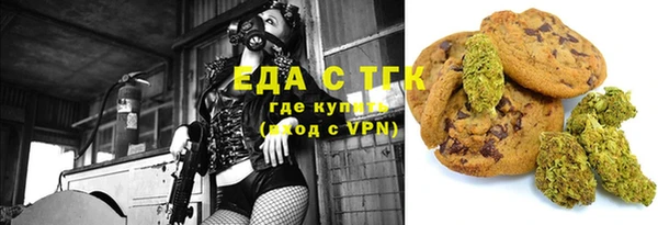 мет Алексин