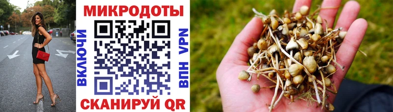 Псилоцибиновые грибы мицелий  купить  цена  Старый Оскол 