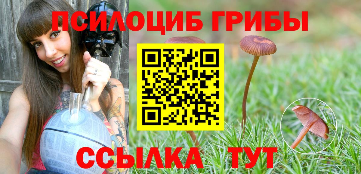 Псилоцибиновые грибы GOLDEN TEACHER  Псилоцибиновые грибы MAGIC MUSHROOMS  Вход с VPN  купить наркоту  Старый Оскол 