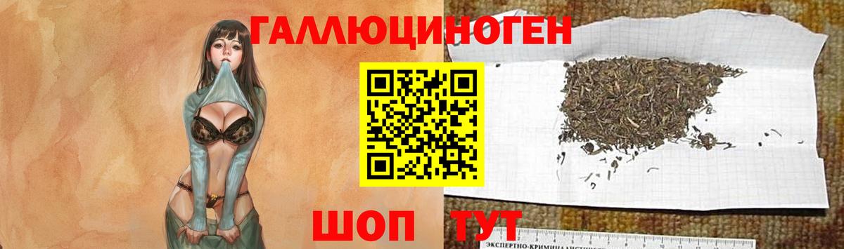 Галлюциногенные грибы мицелий Старый Оскол